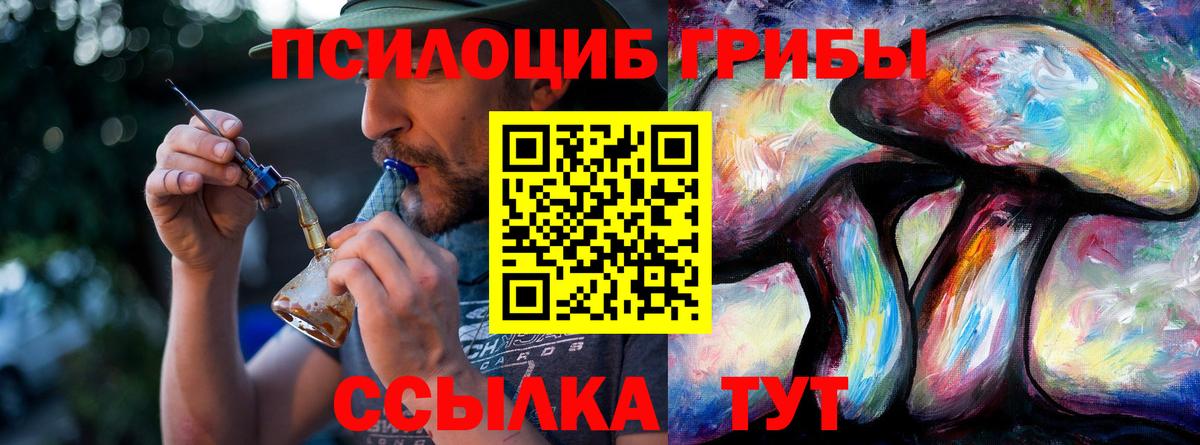 Псилоцибиновые грибы Psilocybe Белогорск