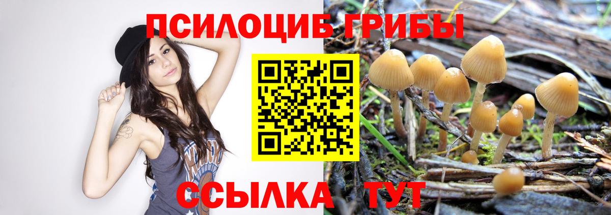 Белогорск  Галлюциногенные грибы мицелий  Вход с VPN 